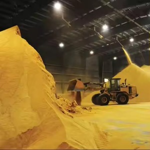 ข้าวพรีเมี่ยม ddgs ธรรมชาติแห้งอาหารโปรตีนสูง - Product Image 3