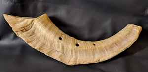 Tasse à corne à boire Viking authentique Divit | Chope à corne de bière médiévale authentique | Tasse à corne/Stein d'une capacité de 24oz. (Jarl, Poli) - Product Image 5