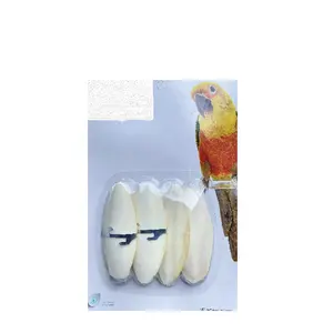 Cuttlebone for birds/reptile/turtle blister pack/bulk box with metal clips/holder high quality & calcium manufacture in Vietnam