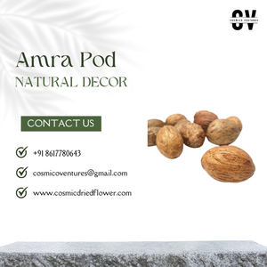 Flor Seca Natural de Amra de Alta Calidad, Elegante y Moderna, Decoración Ecológica, Flor Seca Exótica para Decoración del Hogar, Bodas y Navidad - Product Image 3