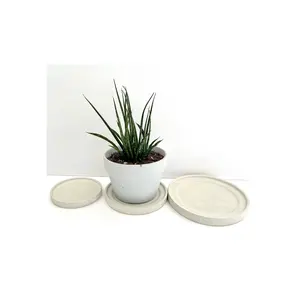 Ceramic Flower Pot White Creative Decoration Succulent Plant With Saucer for customized size hot sale product