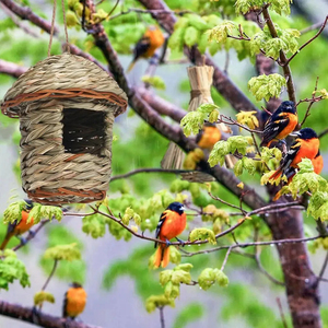 Nichoir pour oiseaux en paille écologique en gros |   Nichoir à colibris naturel tissé à la main pour <span class=keywords><strong>les</strong></span> <span class=keywords><strong>arbres</strong></span> de jardin et la décoration extérieure - Product Image 5