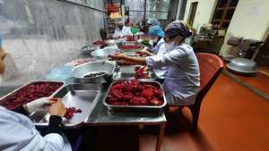 FROZEN GAC MOMORDICA <b>FRUIT</b> and DRIED GAC MOMORDICA <b>FRUIT</b> DRIED <b>FRUIT</b> FROM BLUE LOTUS FARM VIETNAM 2024 - Product Image 6