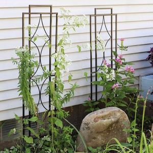 Treillis de jardin en métal de style moderne décoratif, respectueux de l'environnement, pour plantes grimpantes d'extérieur, roses, clématites, lierre, structure de soutien naturelle - Product Image 4