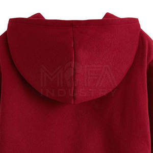 Hoodie court streetwear pour femme de haute qualité, 100% coton, anti-plis et respirant, avec logo personnalisé sur le devant, idéal pour l'hiver - Product Image 6