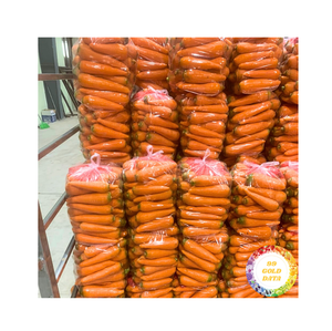 Zanahoria fresca de alta calidad Precio de proveedor de fábrica Zanahoria fresca orgánica para zanahoria fresca al por mayor de 99 Gold Data - Product Image 6