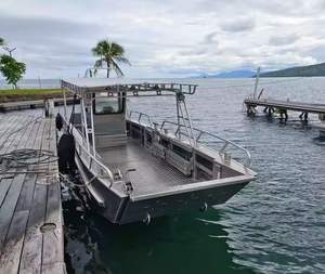 Bote de Trabajo Comercial de Aluminio Personalizado, Capacidad de Carga de 3000 kg, Motor de Gasolina/Petróleo para Transporte de Carga - Product Image 3