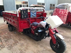 <span class=keywords><strong>3</strong></span> ruote 200cc nuova casa adulto benzina <span class=keywords><strong>3</strong></span> ruote moto con tricicli da carico Sidecar per il carico - Product Image 2