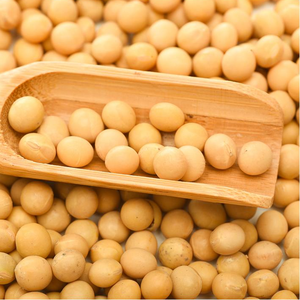 Granos de Soya Crudos de Alta Calidad en Bolsas, Semillas a Granel de 25 kg, 50% de Proteína, Humedad Máxima 10%, Vida Útil 2 Años - Product Image 4