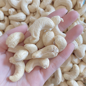 Ventas calientes Frutos de anacardos de alta calidad Anacardos orgánicos Fábrica de Santigo en Vietnam OEM, ODM - Product Image 1