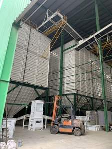 Riz parfumé au jasmin Rooster |   Sophie Rice - Product Image 4