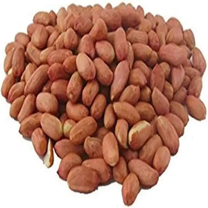 Style séché d'arachides de noyau cru organique de haute qualité disponible en vrac pour la vente en gros - Product Image 2