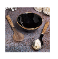 Dernier modèle Cuillère et bol à dessert en corne de buffle Design classique Bol en corne de buffle naturel et durable