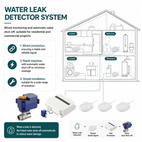 Système de protection contre les fuites d'eau avec vanne d'arrêt automatique et alarme pour la prévention des fuites dans les plomberies des maisons et des appartements, OEM personnalisé