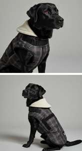 Veste d'hiver pour chien mignonne en polaire bleu uni en coton/polyester écologique pour chiens de grande et moyenne taille - Product Image 6