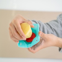 Groentehakker Mandoline Snijder Buiten Gebruik Geschikt Gepatenteerde Uitvinding Handbeschermer 2,5 mm Medium Julienne Professioneel Handmatig PP
