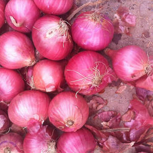 Origin Supplier of Best Quality Fresh Vegetables Delicious Fresh <b>Red</b> Onion at Wholesale Market Price - Product Image 2