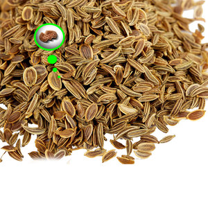 Semillas de hinojo |   Grado A1, Vida Útil de 3 Años |   Hierba Auténtica para Aplicaciones en la Industria Alimentaria |   Kohenoor International - Product Image 6