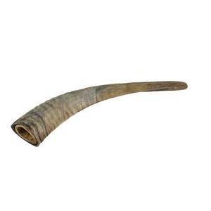 Shofar-bocina pulida de cabra, bocina Shofar de tamaño personalizado, precio barato con pulido hecho a mano - Product Image 1
