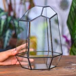 Terrario de cristal de alta calidad 2025 o jarrones de cristal de forma geométrica para plantas en tamaños y diseños personalizados para la decoración de la sala de estar - Product Image 1