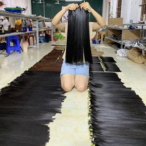 Ady Hair Wholesale 'Genius' Collection 100% Vietnam Remy Perruques de cheveux humains Os Straight Skin Weft in All Colors - Product Image 6