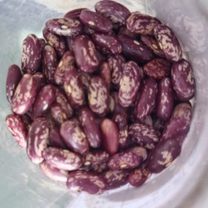 High Quality Speckled Red and White Dried Kidney <b>Beans</b> 25kg Bulk Packaging HRCCM Brand For Sale - Product Image 1