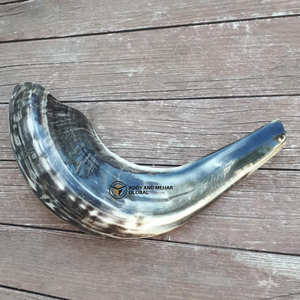 Vente en gros de cornes de shofar de bélier naturelles cornes d'animaux fabriquées à la main pour la décoration intérieure et les détaillants de cadeaux - Product Image 2