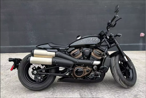 Motocyclette Cruiser Harley-Davidson Sportster S à vendre - Product Image 2