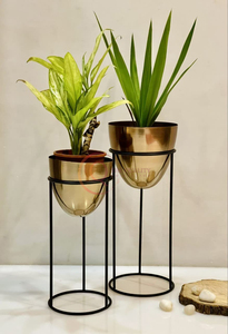 Jardinières en fer sur mesure de vente chaude adaptées aux magasins de décoration de la maison vase à plantes - Product Image 6