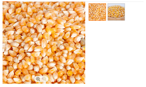 Maíz Blanco y Amarillo Orgánico Seco para Alimentación Animal, Tipo Cultivado, en Venta en Tailandia - Product Image 6