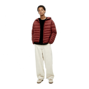 Chaqueta Acolchada con Capucha para Hombre, Logotipo Personalizado, Venta al Por Mayor de Fábrica 2025, Transpirable, Invierno, Tela de Alta Calidad, Nueva Moda, Precio Razonable - Product Image 4