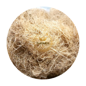 Toutes les algues naturelles organiques séchées au soleil Gracilaria pour l'exportation en vrac faisant de la gélatine - Product Image 1
