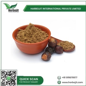 Poudre organique de Reetha de qualité supérieure pour la désintoxication et le nettoyage des cheveux et de la peau du fournisseur indien pour l'exportation en vrac - Product Image 5