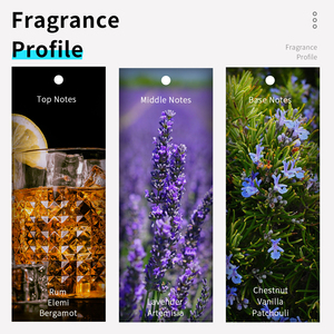 VILILY 100ml Profumi Maschili Personalizzabili Importati, Aromi e Fragranze, Spray Profumato per il Corpo, Fragranza Fougere Orientale per Uomo - Product Image 5