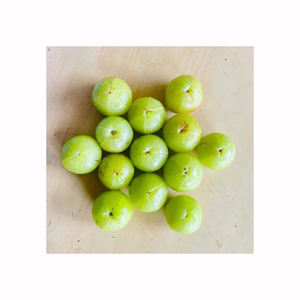 Aceite de amla, aceite natural a base de hierbas para el cuidado del cabello, para marcas de productos de belleza, distribuidores de cosméticos y compradores internacionales - Product Image 3