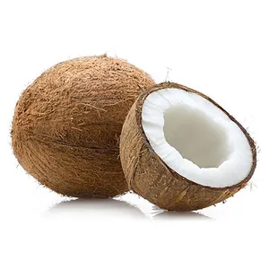 Vente chaude noix de coco séchée/noix de coco brune mûrie/noix de coco semi décortiquée sri lanka meilleur prix