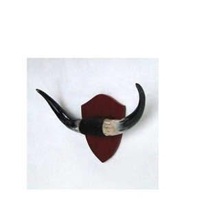 เครื่องตกแต่งผนังฮอร์นคู่โรงแรมและผนังบ้านตกแต่งด้วยเขาควายคู่ - Product Image 3