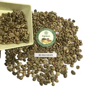 Chicchi di caffè verde arabica e robusta chicco di caffè spedizione veloce prezzo economico dal Vietnam whatsapp + 84 326055616