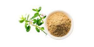 Extracto de Bacopa Monnieri en polvo, soporte cerebral Natural, Suplemento A base de hierbas, enfoque de memoria, claridad Mental, salud cognitiva, antioxidante - Product Image 2