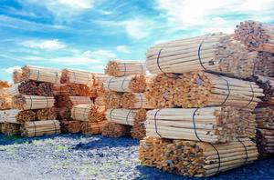 ขายส่งเสาไม้คุณภาพสูงและราคาดีที่สุด - Product Image 3