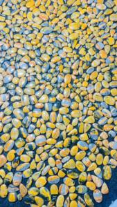 Lote de Cabujones de Jaspe Abejorro al por Mayor, Piedras Preciosas Sueltas de Calidad Increíble, Jaspe Abejorro Natural para la Fabricación de Joyas - Product Image 2