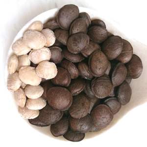 TOP EXPORTACIÓN NUECES PUROS INCA EN 2024 - Product Image 2