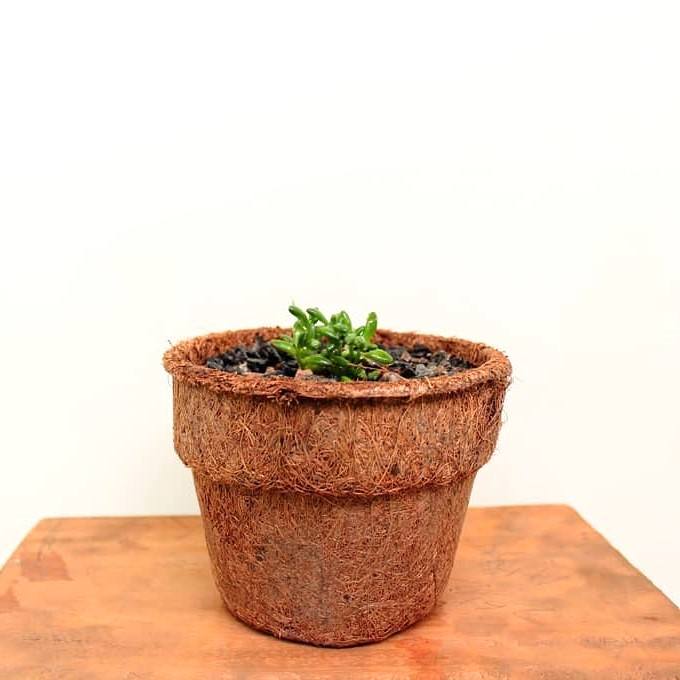 ธรรมชาติ