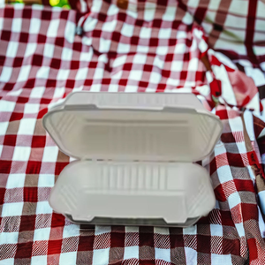 Boîte à lunch en bagasse jetable facile 9x6 à clapet compostable biodégradable écologique micro-ondable recyclable - Product Image 3