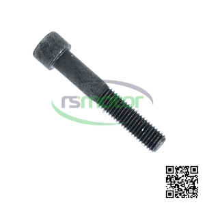 Tornillo de Cabeza de Queso de Hierro Fundido de Alta Calidad, Nuevo, Multifuncional, para Piezas de Motor MWM RS-12280987, Uso en la Industria Agrícola de Gas Natural - Product Image 3