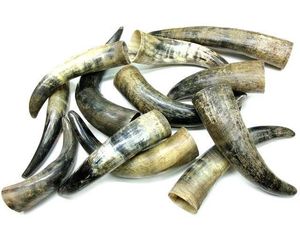 Cuernos de buey y vaca crudos a la venta, sustituto artesanal Natural para cuerno de rinoceronte en tratamiento de hipertermia, cuernos de búfalo a granel baratos - Product Image 6