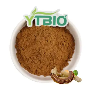 YTBIO Tamarindus Extracto Indica Extracto puro de tamarindo Extracto de semilla de tamarindo