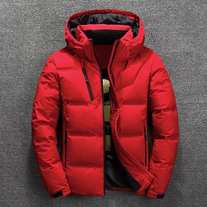 Chaqueta de Plumón Brillante para Hombre, Diseño de Invierno, Acolchada, de Alta Calidad, con Logotipo Personalizado, de Algodón, Estilo Formal, Delgada, Último Modelo - Product Image 2