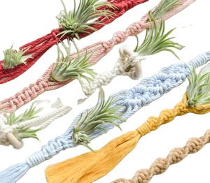Macrame Plant Hanger Without Tassel Customized Macrame Plant Hanger for <b>Wall</b> and Window Decoration - Product Image 1