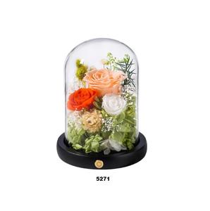 Clear <b>Glass</b> <b>Dome</b> Cloche with Wood Base <b>Glass</b> Cloche <b>Glass</b> <b>Dome</b> with Base Tabletop Jar Display Case for Home Office Wedding - Product Image 1